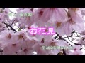 花見