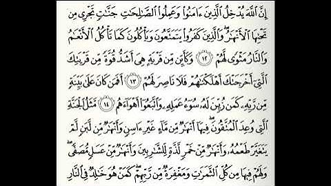 سورة محمد القارئ صلاح باعثمان