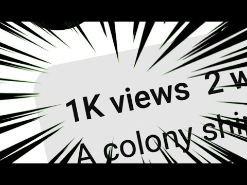 1000 Views ON A SINGLE VIDEO