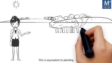 Types, Benefits, Basic Facts & Figures of Solar PV Plant: Amplus Solar