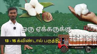 Dr. Soil பயன்படுத்தி சிறந்த விளைச்சல்! செலவு அரை, மகசூல் இரட்டை | Cotton