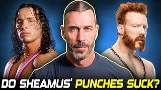 Bret Hart BURIES Sheamus - but is he Right?