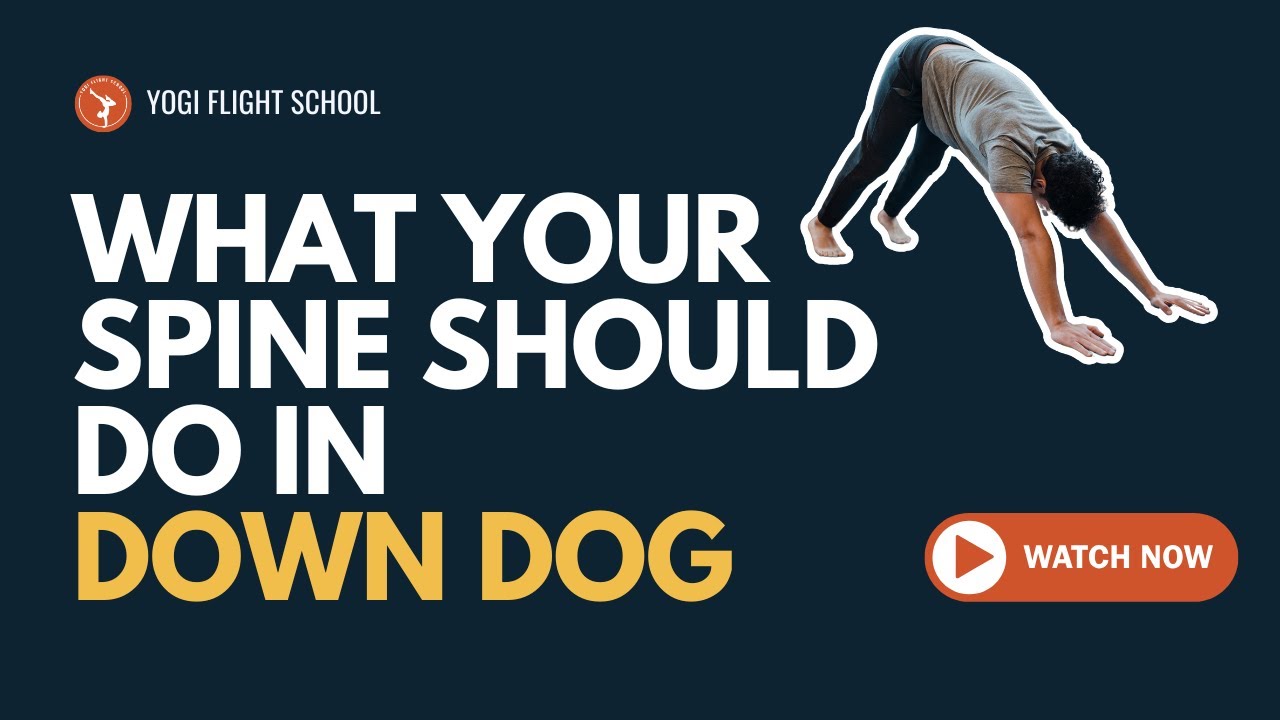 Why Is My Lower Back Rounded In Downward Dog? Exploring Proper Alignment
