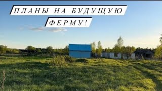 Гуляем всей семьей в полях! Продисковали 20 га!