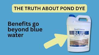 Blue Lake & Pond Dye Review Does It Really Transform Your Pond?