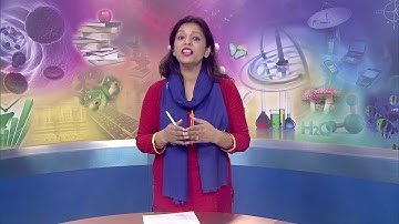 ECCE-  Domains of Development - Part 2 Lesson 7