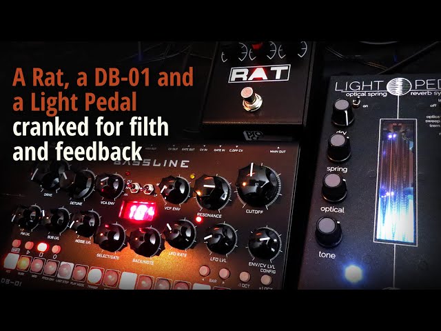 A Rat, a DB-01 and a Light pedal cranked for filth and feedback