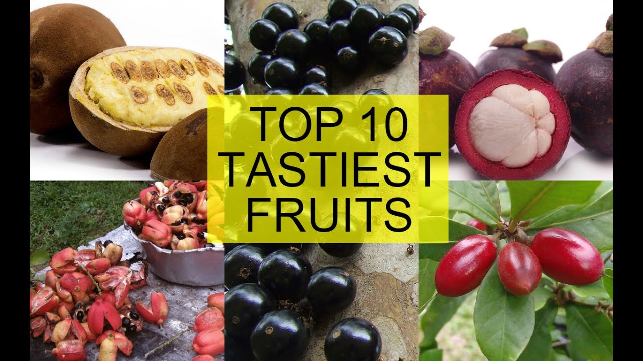 top 10 rarest and tastiest fruits in the world [best clip ever