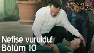 Nefise vuruldu! - Kanatsız Kuşlar 10. Bölüm