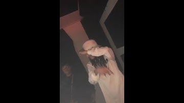 MOBTRAP ft. Amuly Snippet