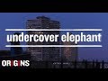 Undercover Elephant | Solve For Why Origins #13 | Solve for Why