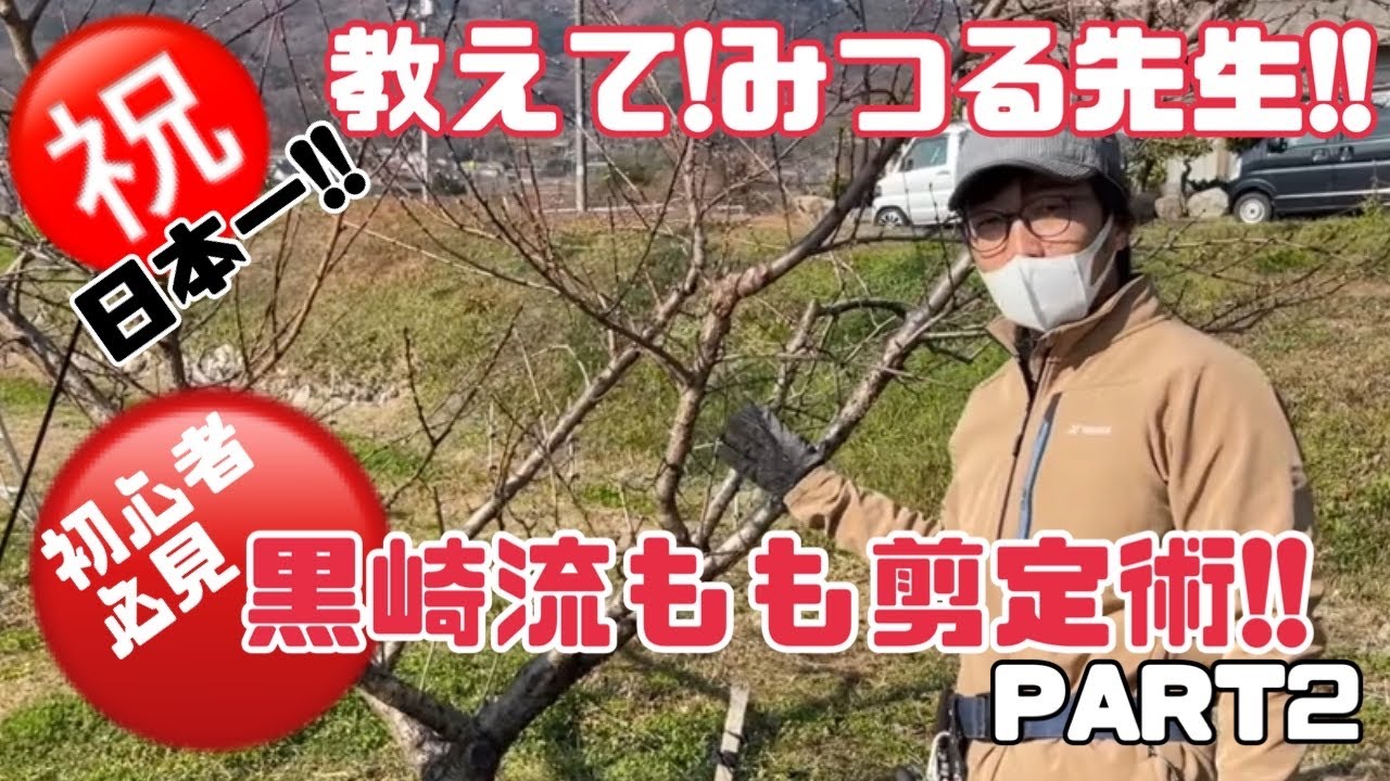 ♯221【桃の剪定】黒崎流剪定術2021冬【誰でも出来る！？】【全国もも選手権最高金賞受賞】