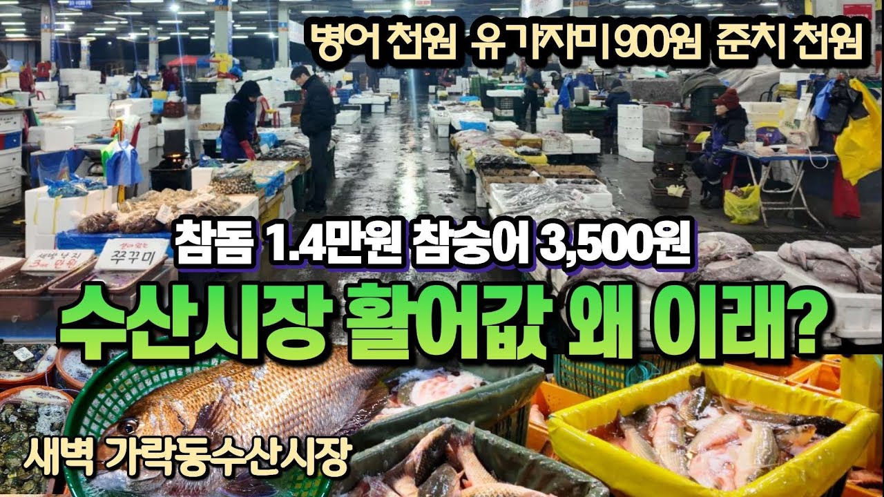 미친가격? 생선값 끝없는 폭락 왜? 팔수록 적자? 수산업자들 폭망각?? 소비자도 등돌리는 수산시장 큰일났다! 이러다 노량진수산시장 가락동수산시장  다 죽는다!