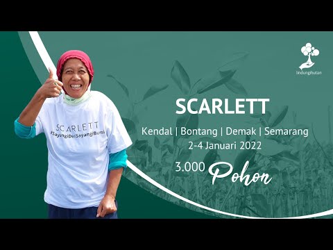 Hari Gerakan Satu Juta Pohon | Scarlett x LindungiHutan