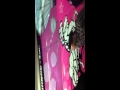 111022 [fancam] Soshified chant "Bring the Girls out" at the airport