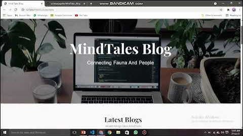 MindTales Blogging Website | The Intern Academy | Web Development Intern | Aishwarya Patle