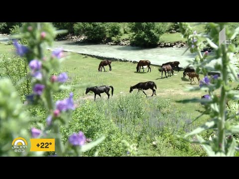 #ახალიდღე რაჭის ტურისტული მარშრუტები - რუბრიკა #რეგიონი