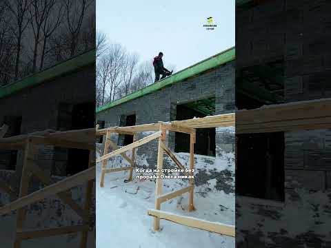 Наши незаменимые сотрудники!