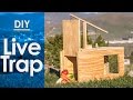 Live Trap, How to make a - simple DIY