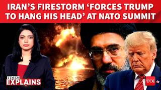 Iran Blitz ‘Makes Trump Hang His Head’ In Embarrassment As NATO Allies Berate US Op | Times Explains