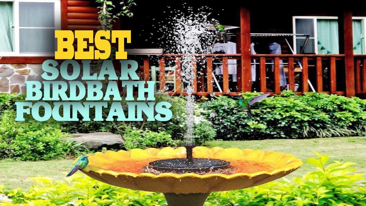✅Фонтаны для купания птиц на солнечной энергии – 5 лучших фонтанов для купания птиц на солнечной ...