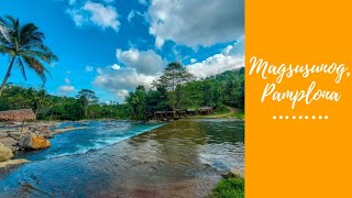 HINUTONGAN RIVER | MAGSUSUNOG, PAMPLONA NEGROS ORIENTAL