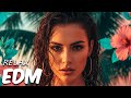 EDM Relax: Chill &amp; Calm 🎧 Background Music for Everyday Moments