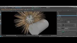xgen collision