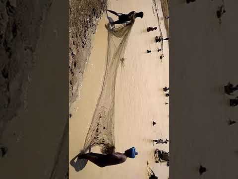 fishing festival - YouTube