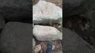 Only 10 min from boulder #explore #colorado #hike