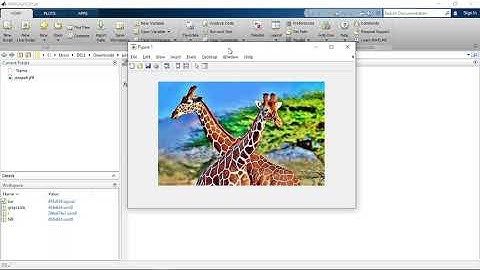 Mengganti Warna Gambar Menggunakan Software Matlab