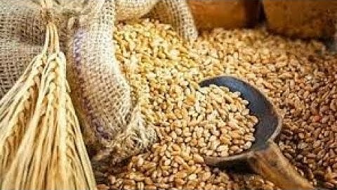 भोज्य पदार्थों की प्रोटीन के नाम | LT GRADE Home science IMPORTANT QUESTION part 26