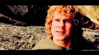 meriadoc brandybuck | to battle