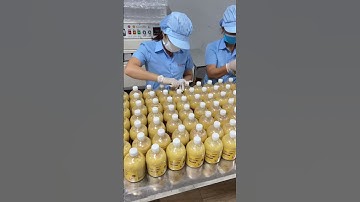 Nhà máy sản xuất cốt gừng tại Nghệ An, Hà Nội đạt chuẩn ISO 2025 #cotgung #gung #utoc