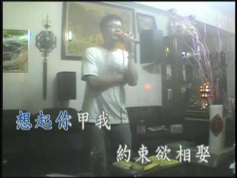 演唱洪榮宏懷念台語老歌--[ 空思戀 ]