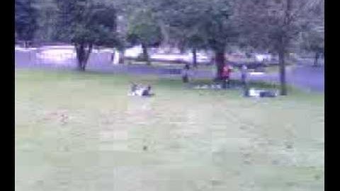 hill rolling fun at the greatest pic nic eva!