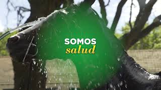 Experiencia HSI v2