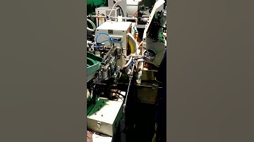 PALMARY. CNC  Centerless.  Fcl-20-4