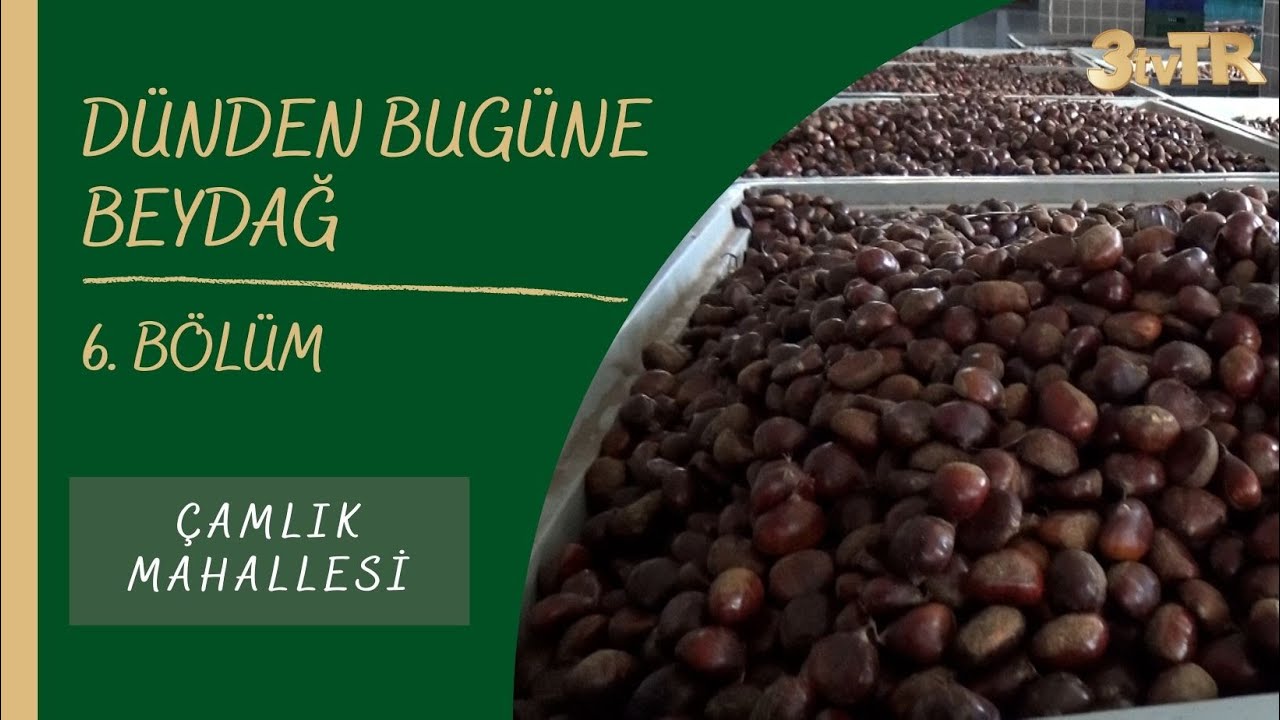DÜNDEN BUGÜNE BEYDAĞ (ÇAMLIK) 6. BÖLÜM