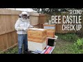 Second bee castle check up
