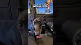 When You Show Off Because Your Girlfriend Is Watching