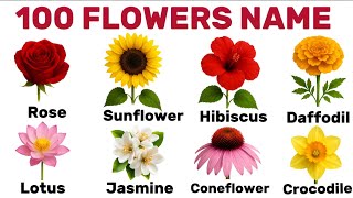 100 Flowers Name in English | Learn Flower Names | List of Flowers Vocabulary