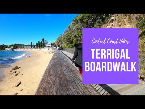 How to spend a day in Terrigal, NSW