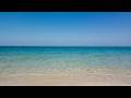 1 Hour Ocean Beach Sounds | Gentle Waves + Seagulls | Sleep, Focus & Meditation