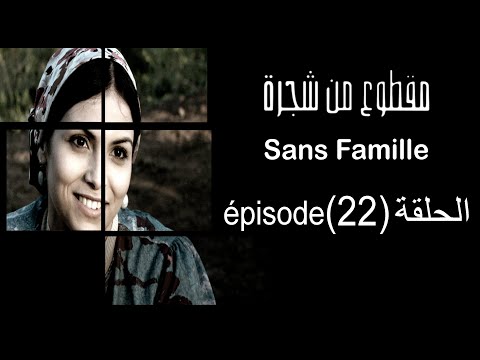 93      مقطوع من شجرة الحلقة 22