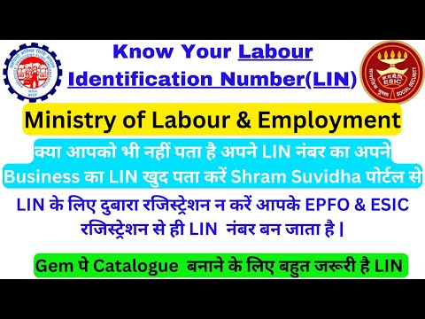 What Is Identification Pin