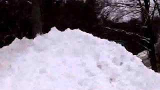 VID-20110202-00025