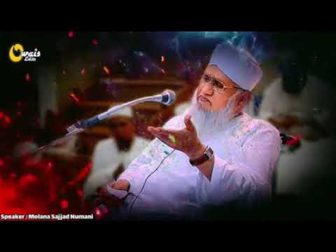 Binte Abdurrazzaq,s channal.