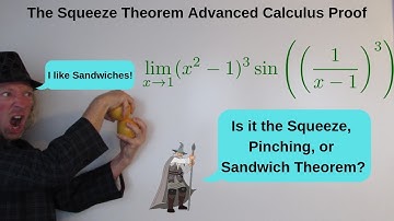 Advanced Calculus Squeeze Theorem Proof Limit of (x^2 - 1)^3 sin(1/(x-1))^3