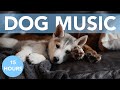 ASMR Music to Relax My Dog! Calming Tones for Stressed Pups!